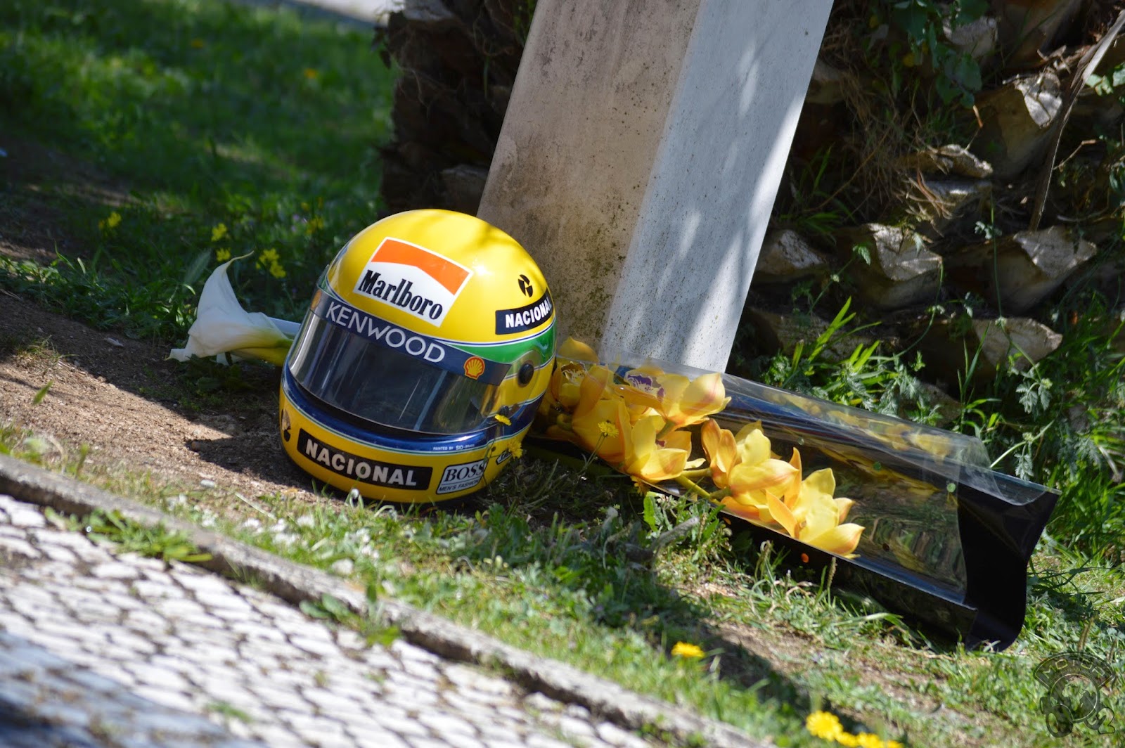 InstantPhoto by MotorO2 – Senna Tribute Portugal
